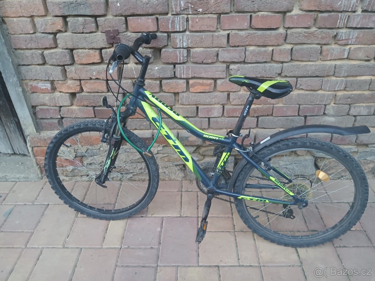 Dětské kolo BERRY CTM - 2