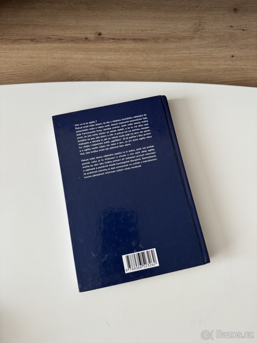 Agility - první krůčky - 2