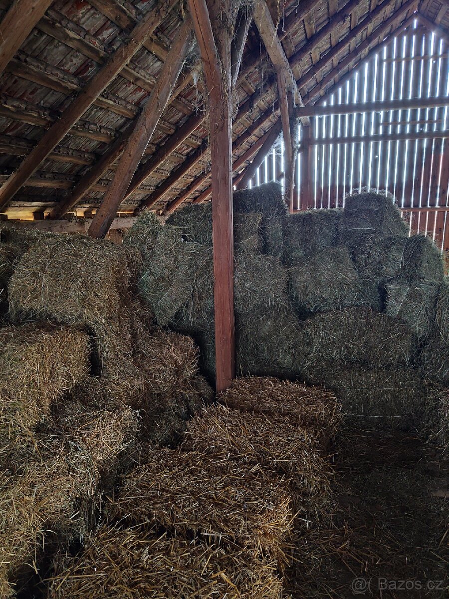 Malé balíky sena - 2