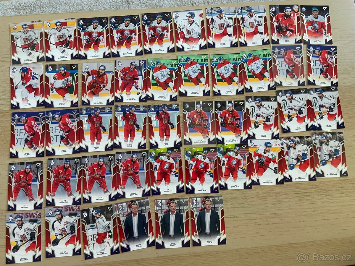 Hokejové Česko 2024 SportZoo 2024 - 2