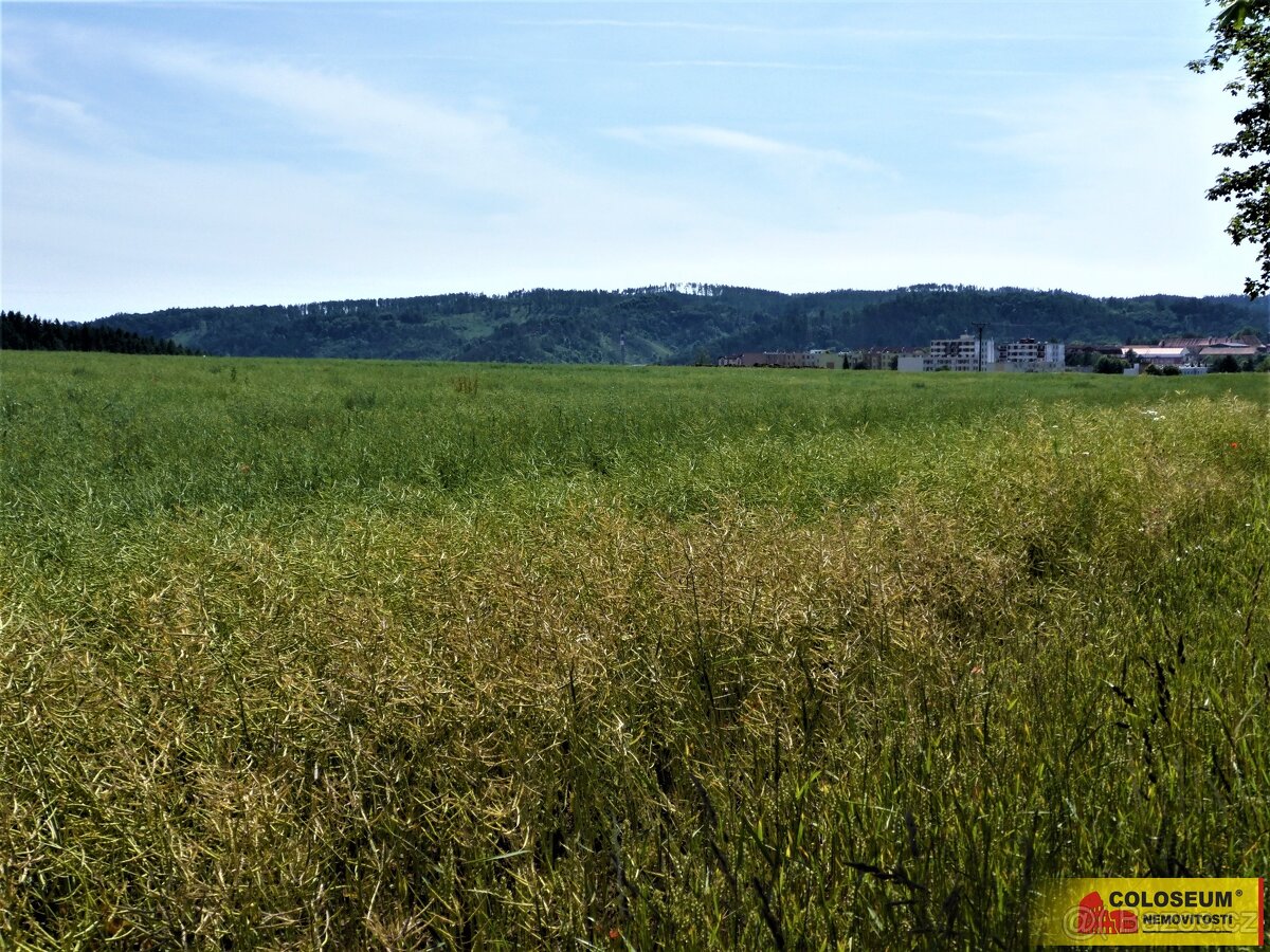 Letovice - zemědělská půda 7 225 m² - pozemek - 2