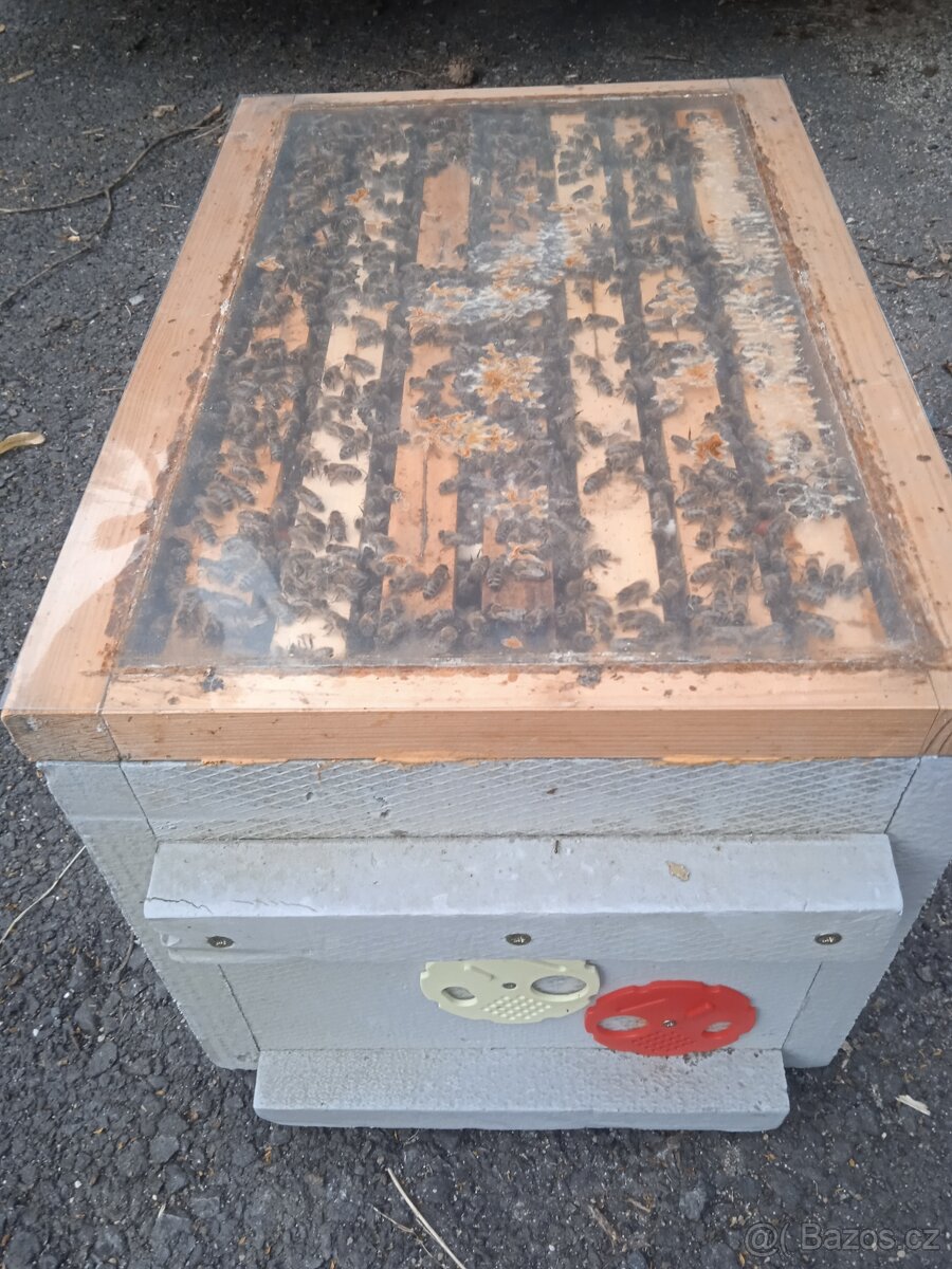 Včelí odděleky - 2