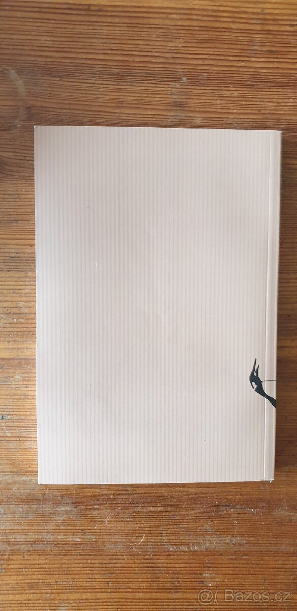 Plachetnicí kolem světa pro pírko tučňáka - 2