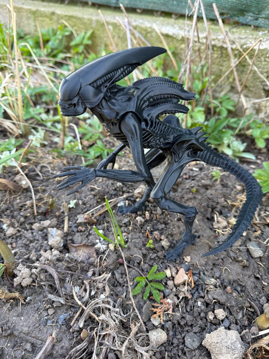 Alien, Xenomorph 20cm - 2