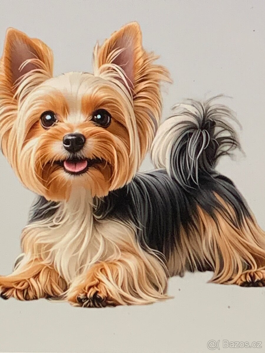 přívěs ,...55cm - 2