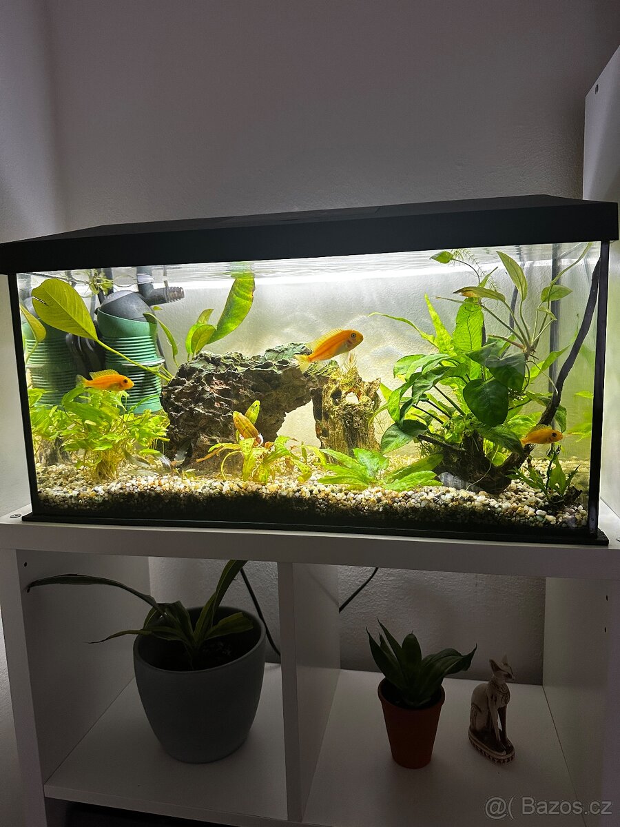 Akvarijni set komplet - 2