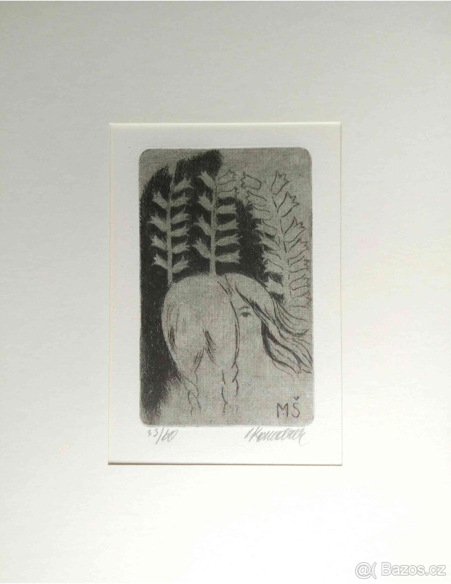 Vladimír Komárek - grafiky 2.část - 2