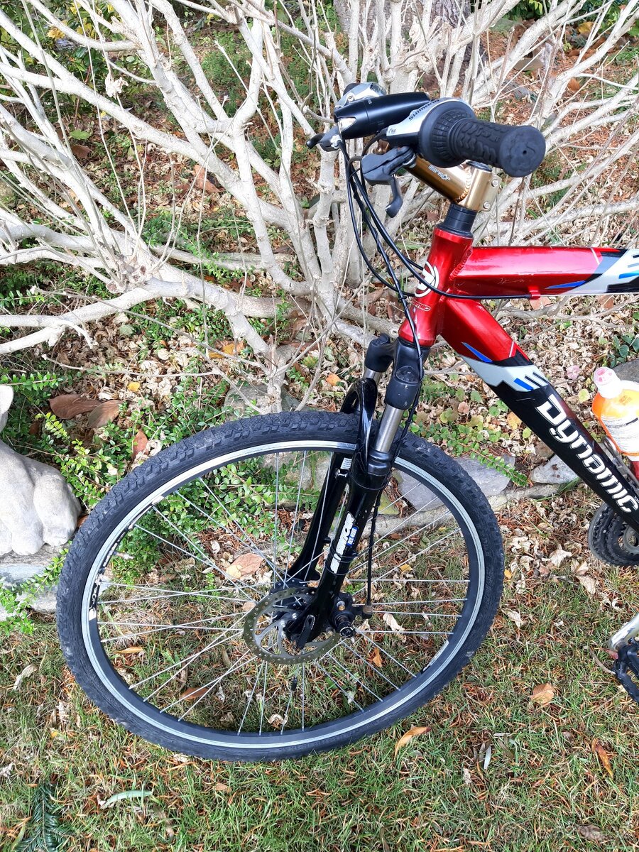 Horské kolo pánské Dynamic - 2