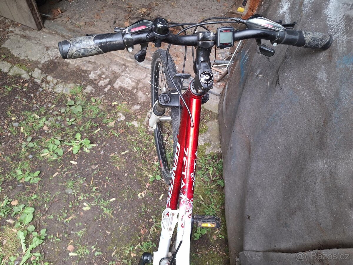 GENESIS Zeta 2013 - 2