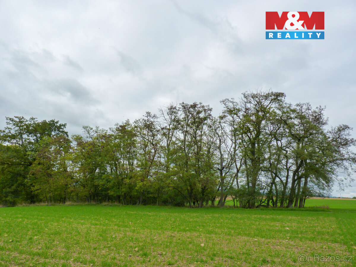 Prodej lesa v Drahobuzi - 2