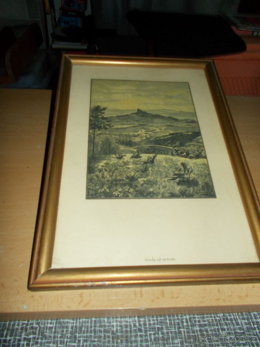 Obrázek se zlatým rámem - 2