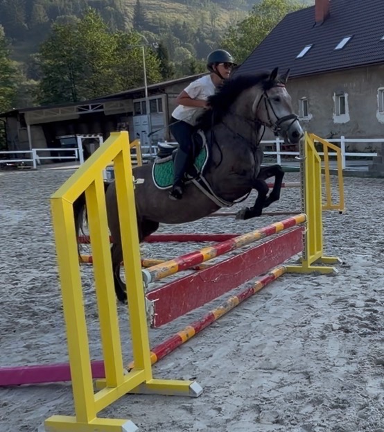 Prodám pony klisnu kategorie B - 2