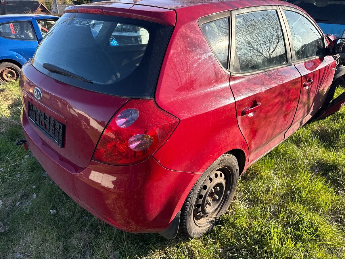 Kia ceed dily - 2