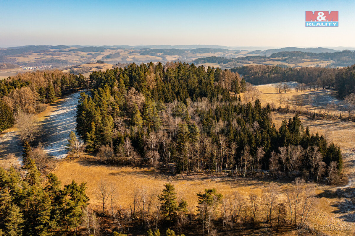 Prodej lesa, 42761 m², Nišovice - 2