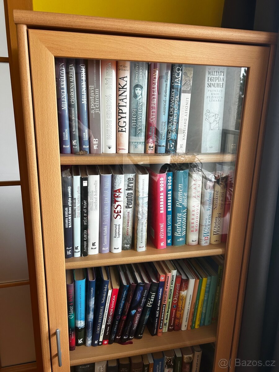 Skříňka/ knihovna - 2