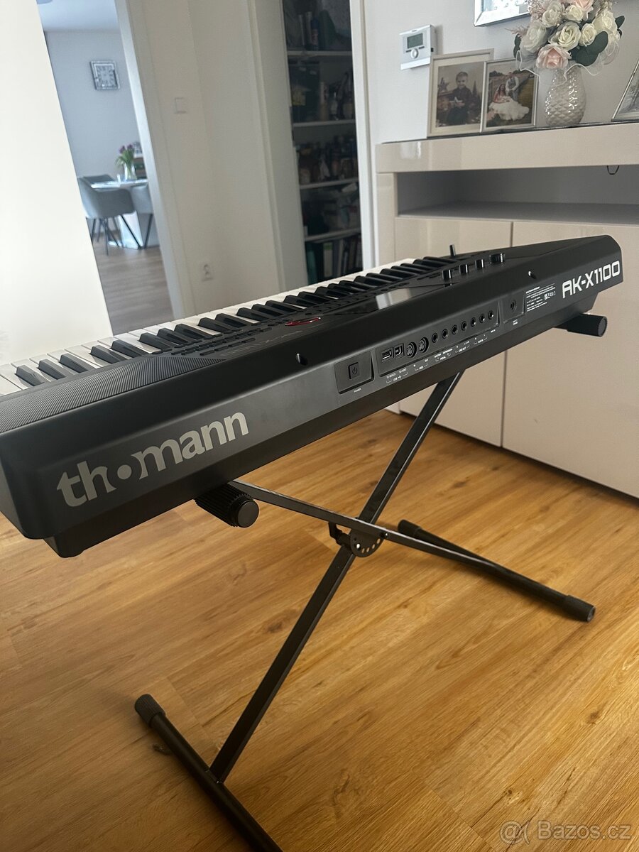 Thoman AK-X1100 - 2