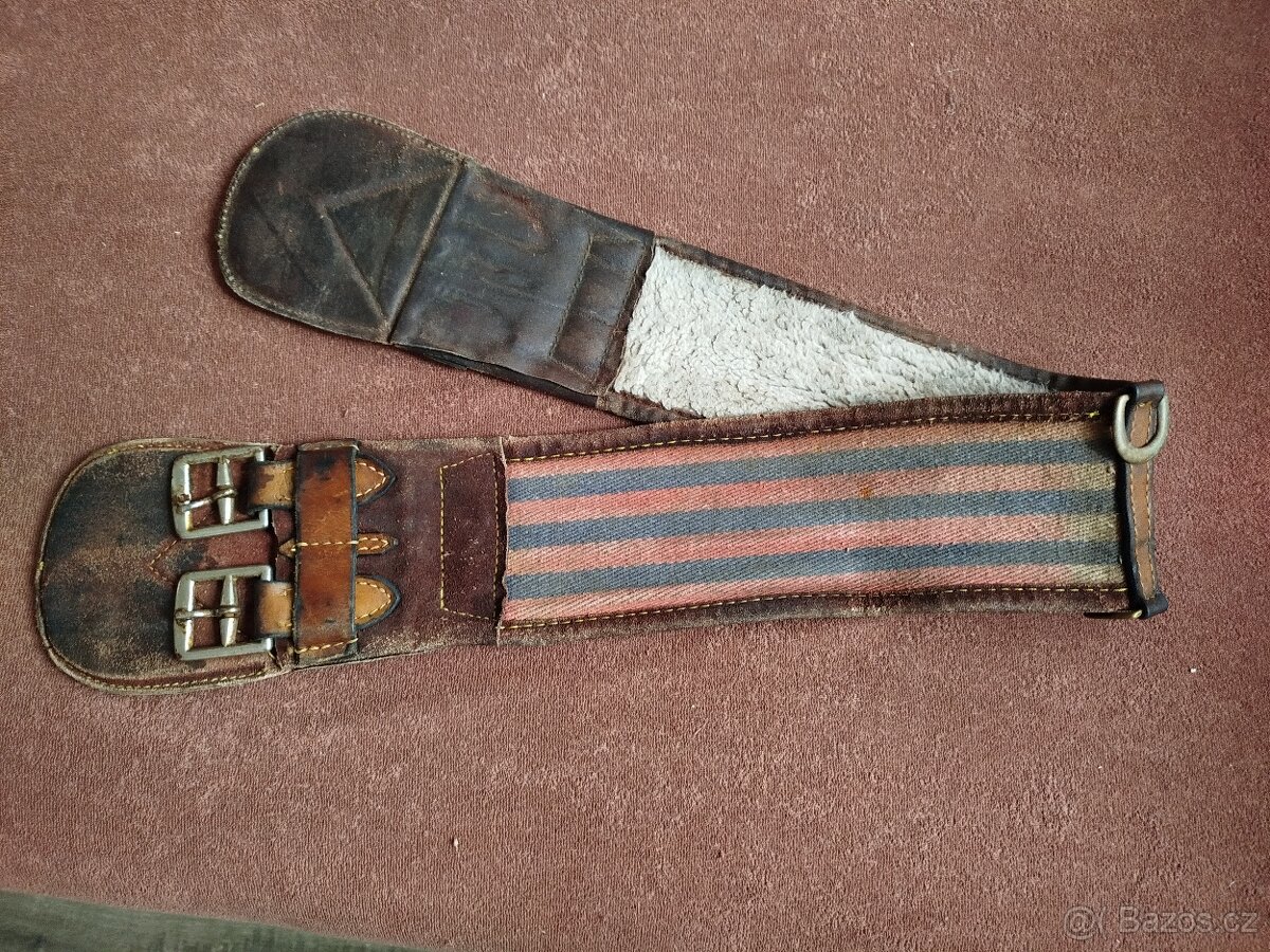 Podbřišník australský - 2