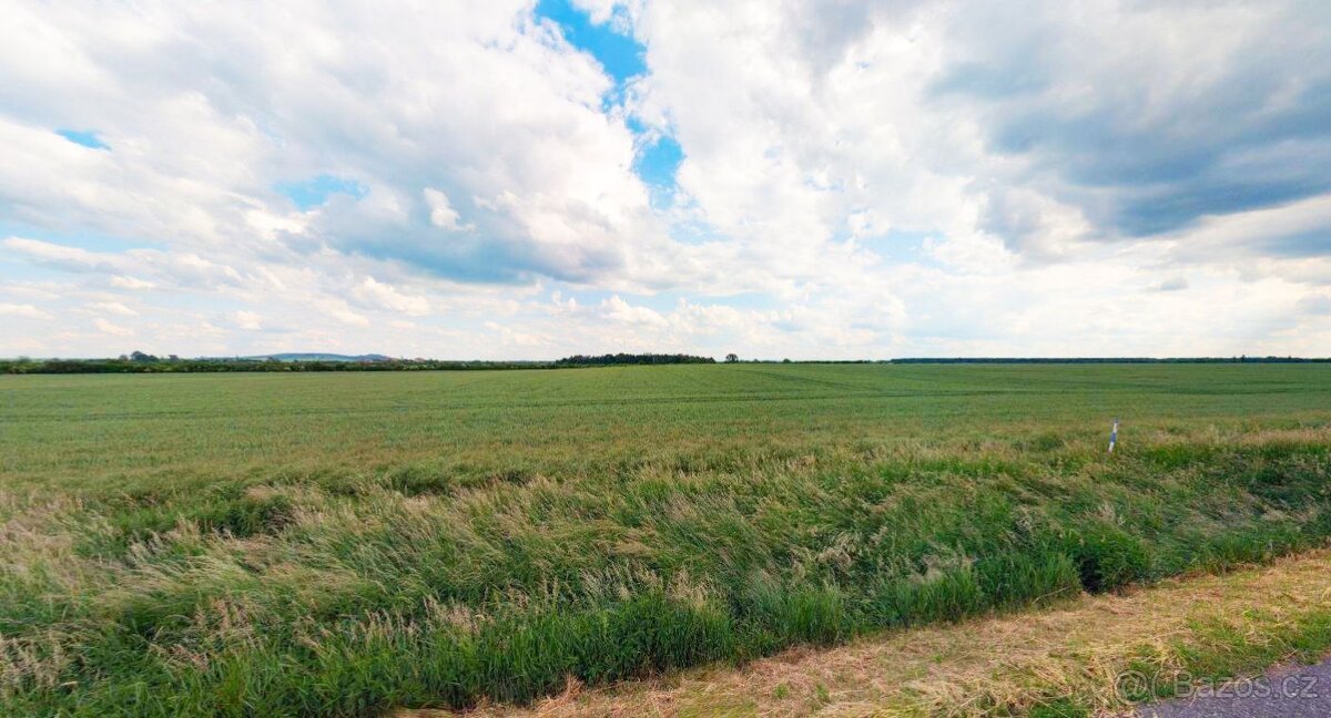 Zemědělská půda, prodej, Kouty, Nymburk - 2