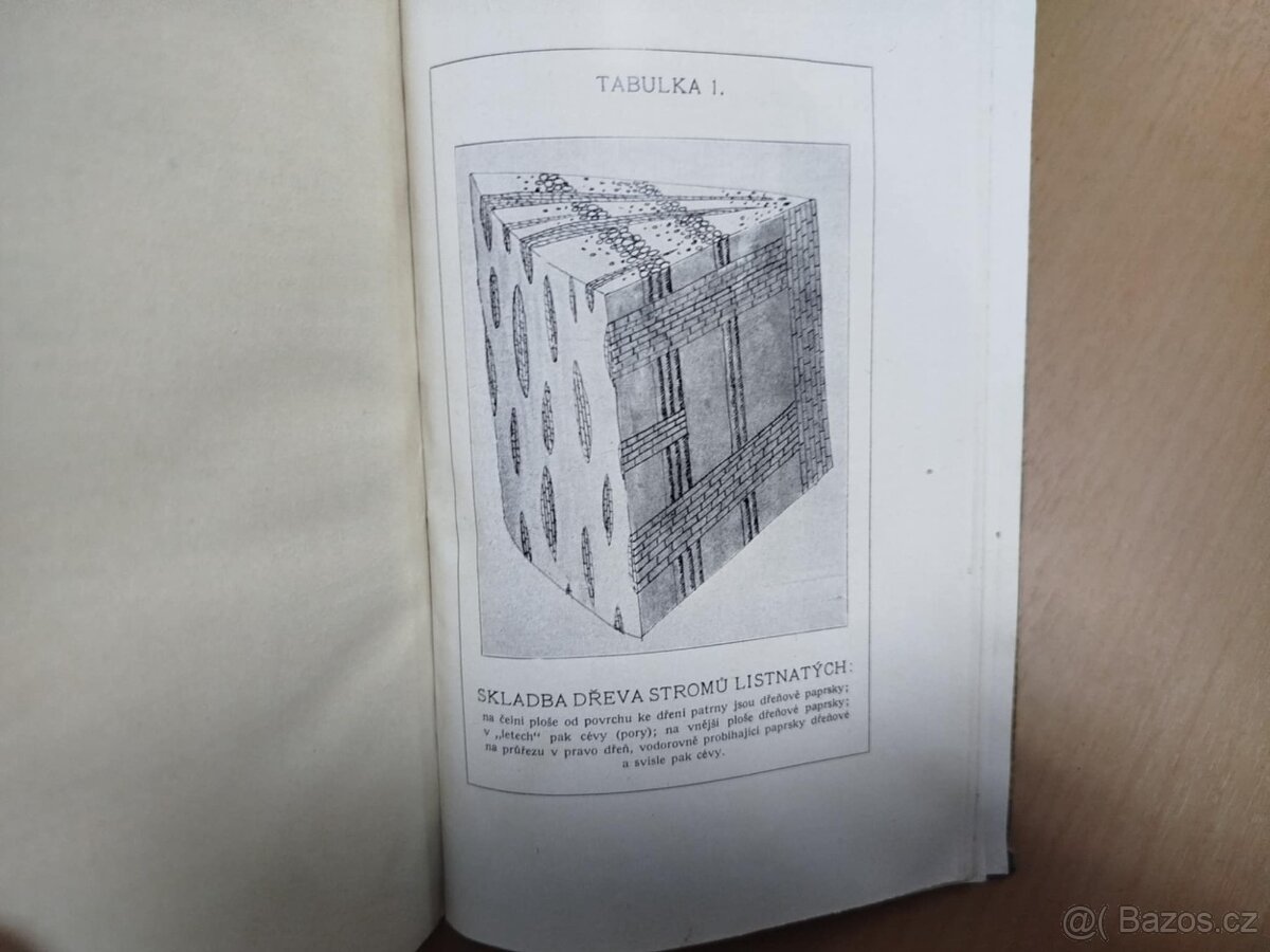 Konservování dřeva--1914--Dr. ING. Bedřich MOPLL--kniha vyda - 2