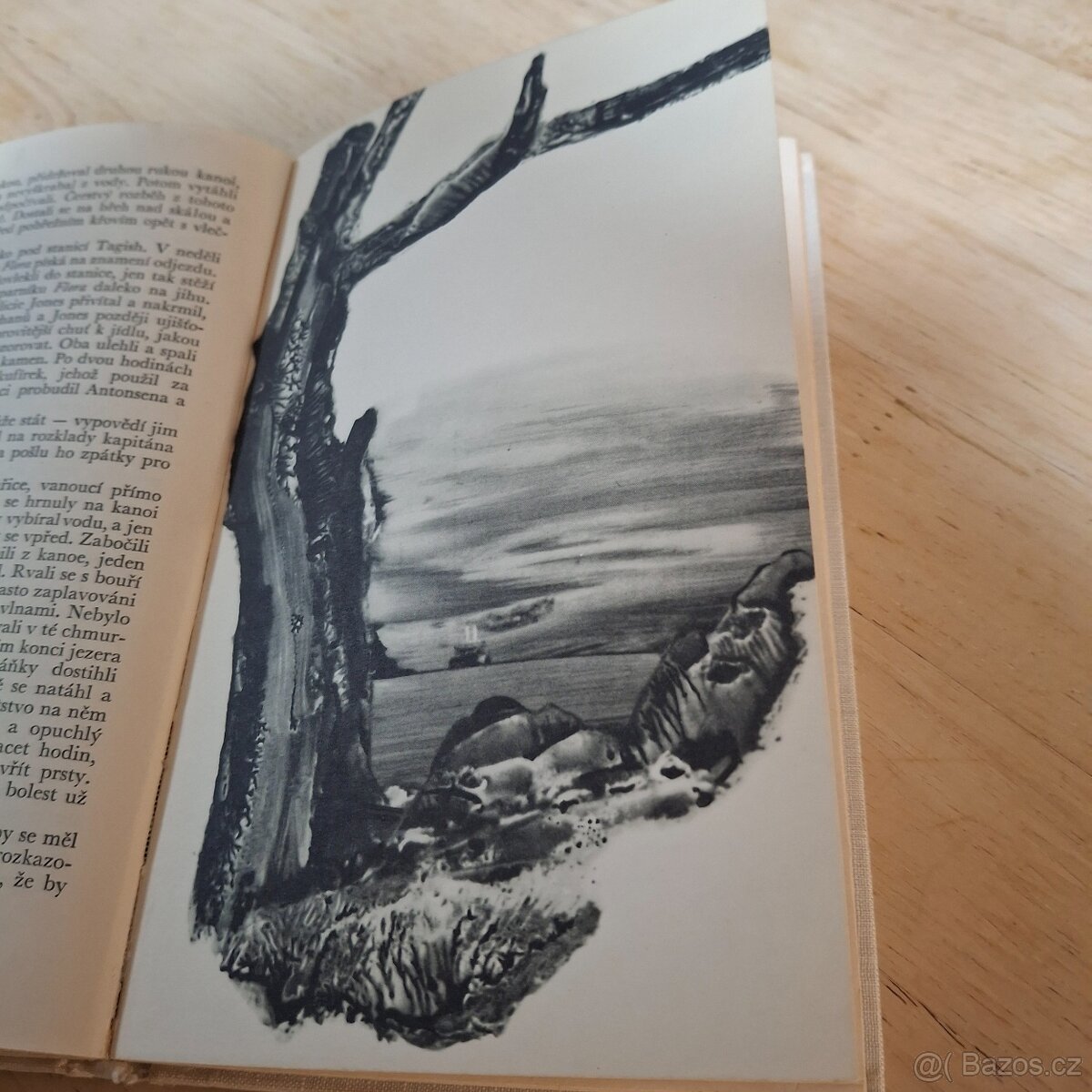 Jack London volani divočiny - 2