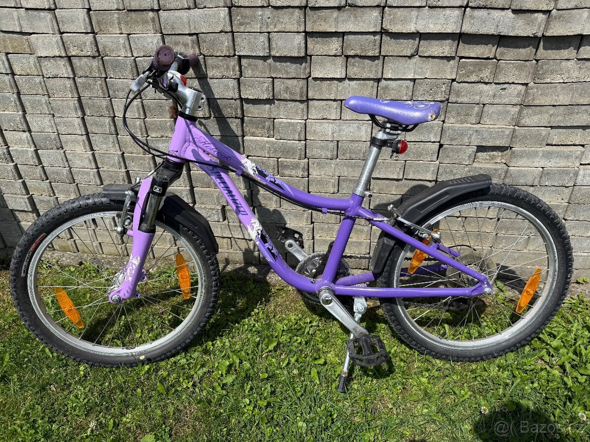 Specialized jitrocel 20 - 2