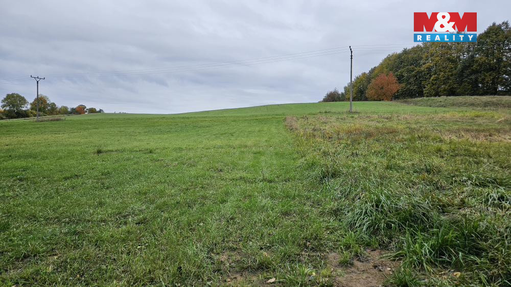 Prodej pozemků, 7881 m², Jedlí - 2