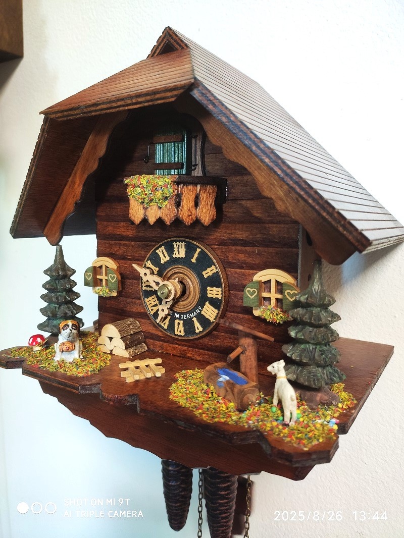 Hezke, kukacky, Schwarzwald - 2