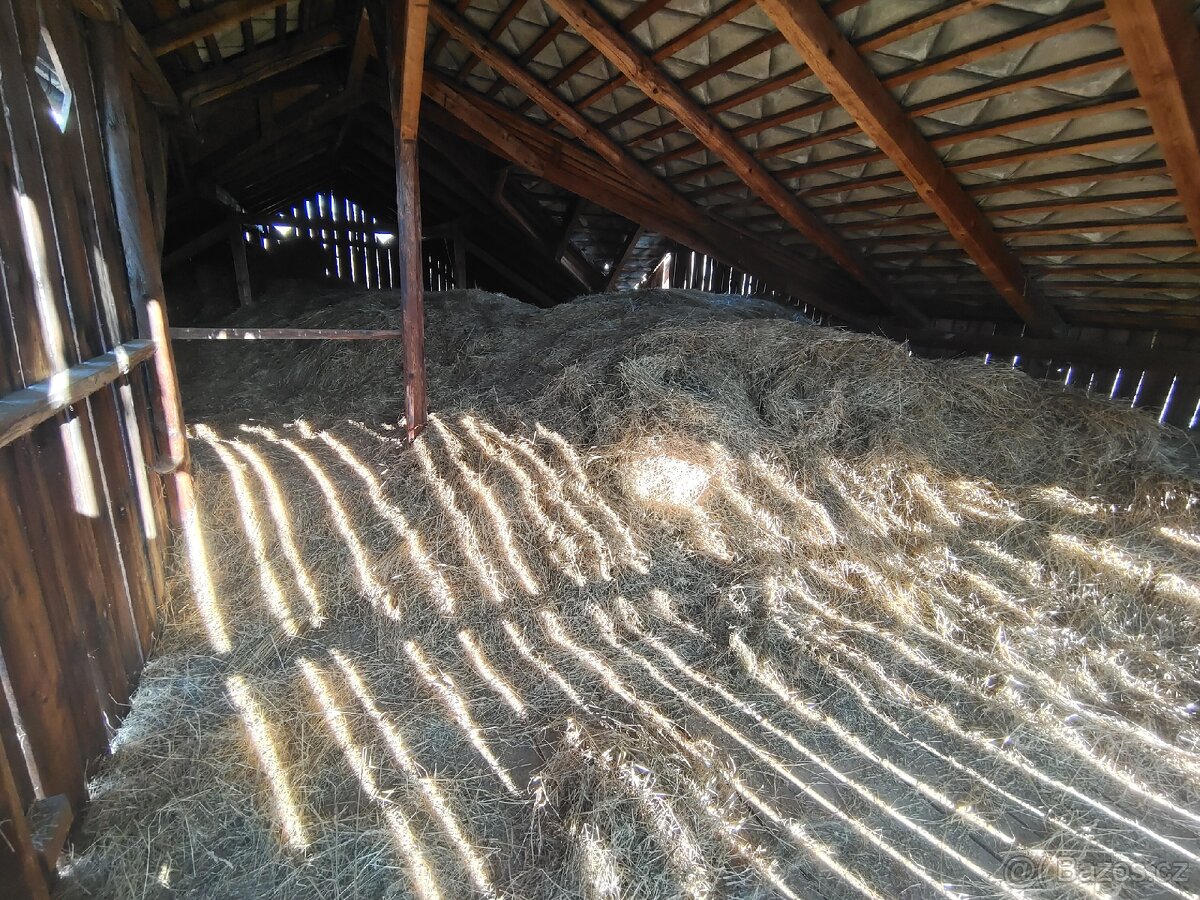 Daruji seno za odvoz - 2