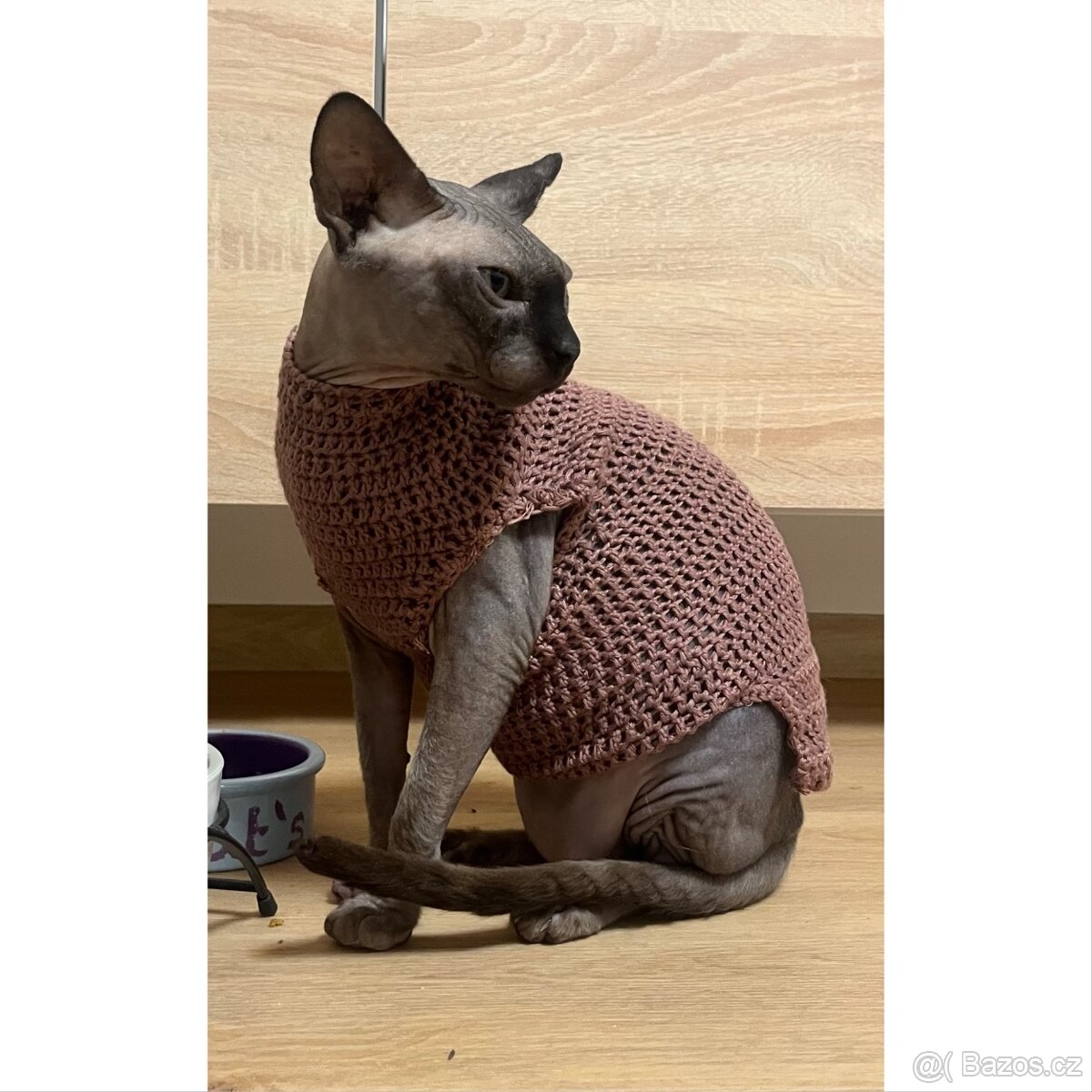 Oblečky pro Sphynx - 2