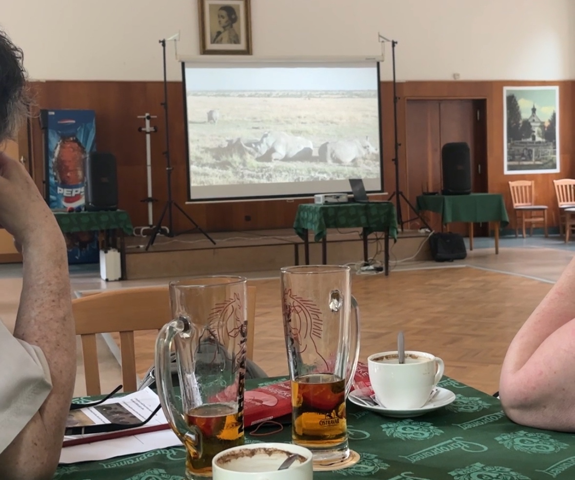 JBL , Promítání , - 2