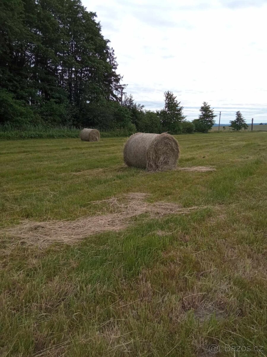 Seno - kulaté balíky - 2