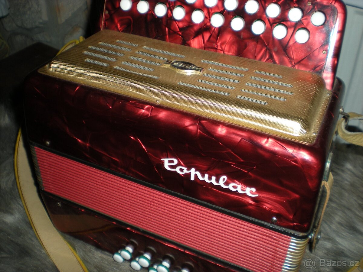 Harmonika Delicia Popular - 2