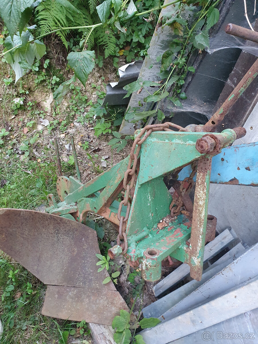 pluh jednoradličný - 2