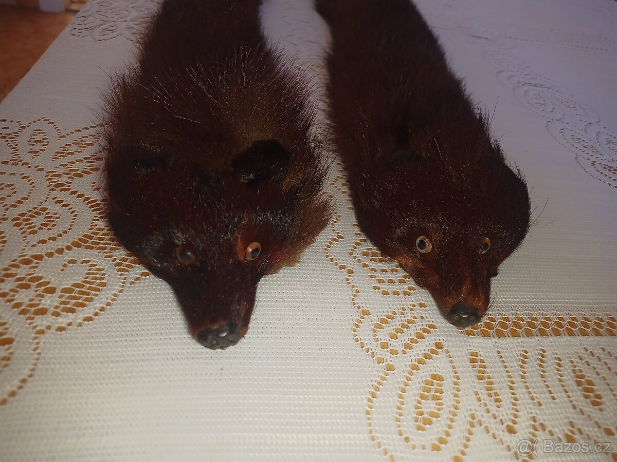 Kožešinové límce - 2