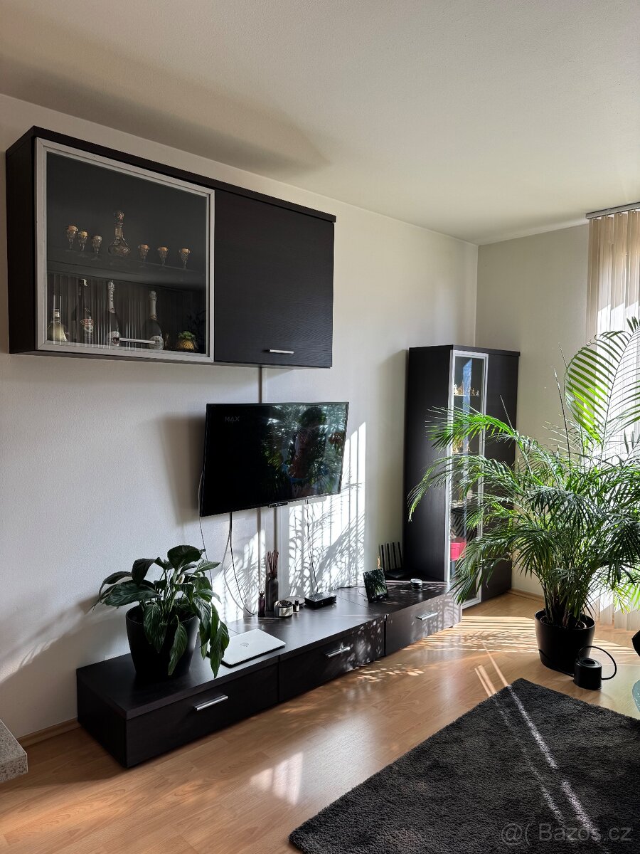 Obývací stěna - 2