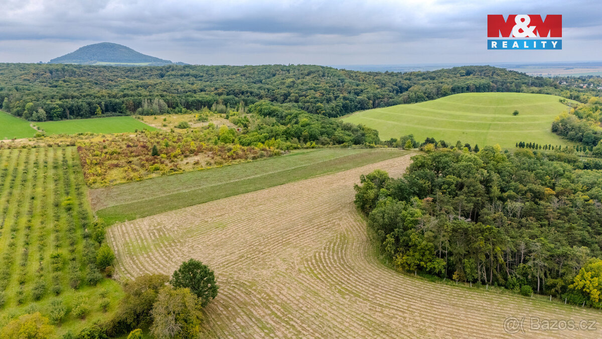 Prodej pole, 11093 m², Roudnice nad Labem - 2