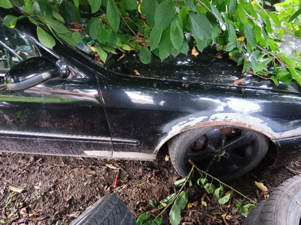 Mercedes w220 s500 - 2