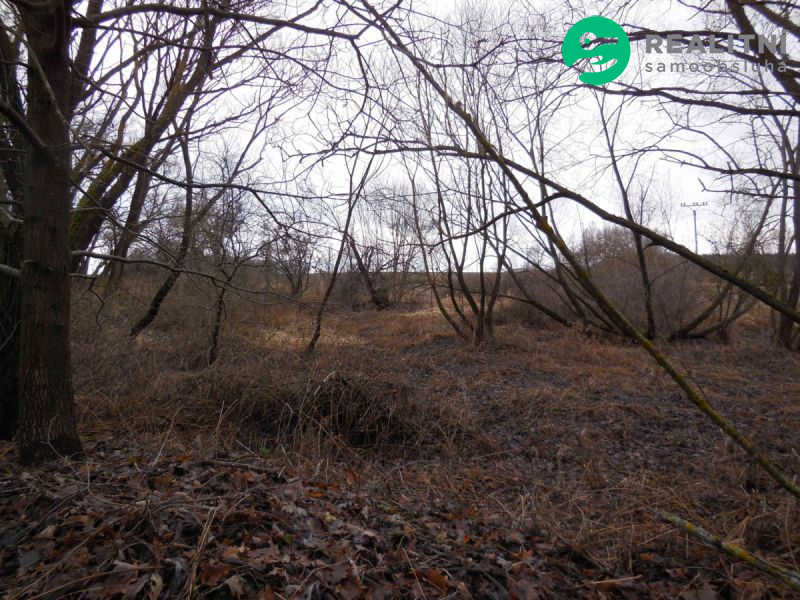 Zahrada Bezemín - 2