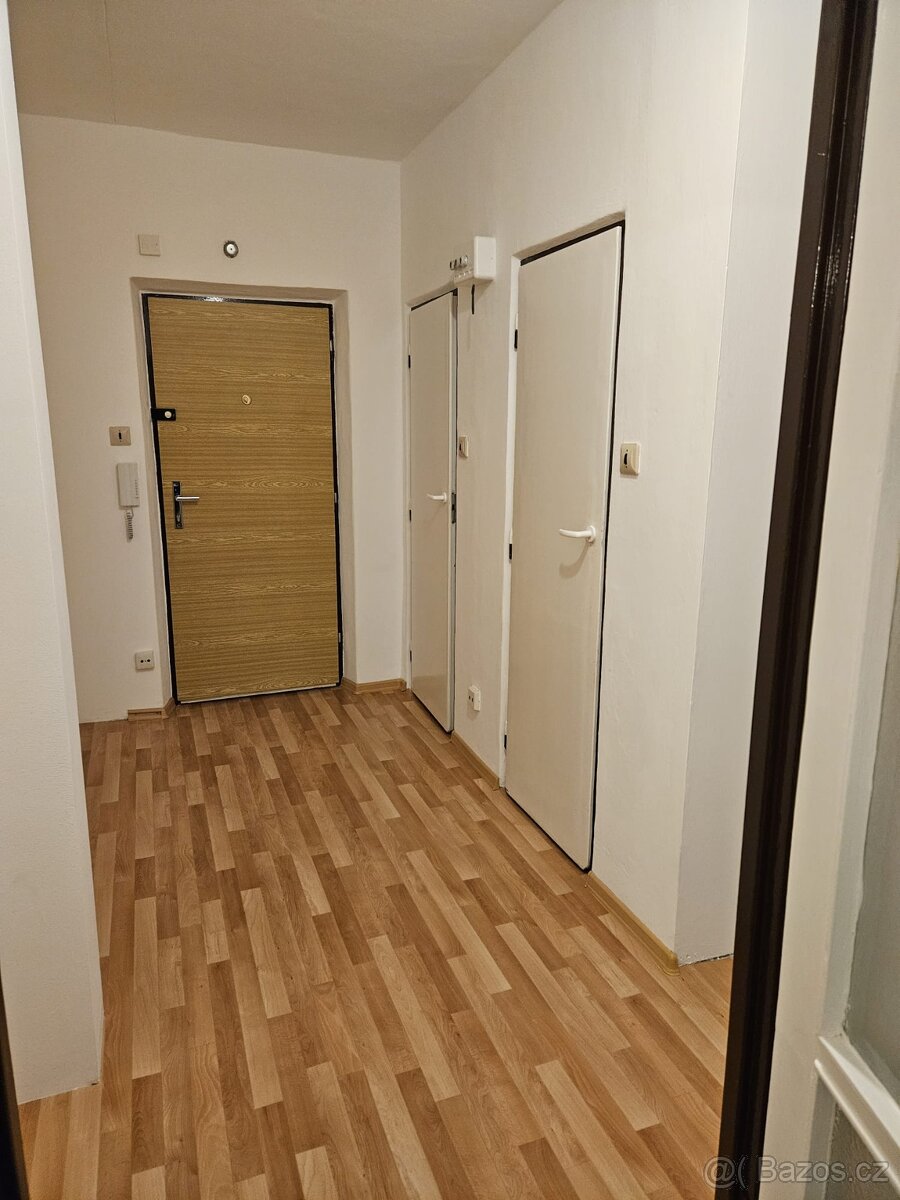 Pronájem bytu 2 + 1 - 2