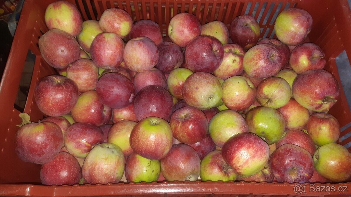 Jablka - 2
