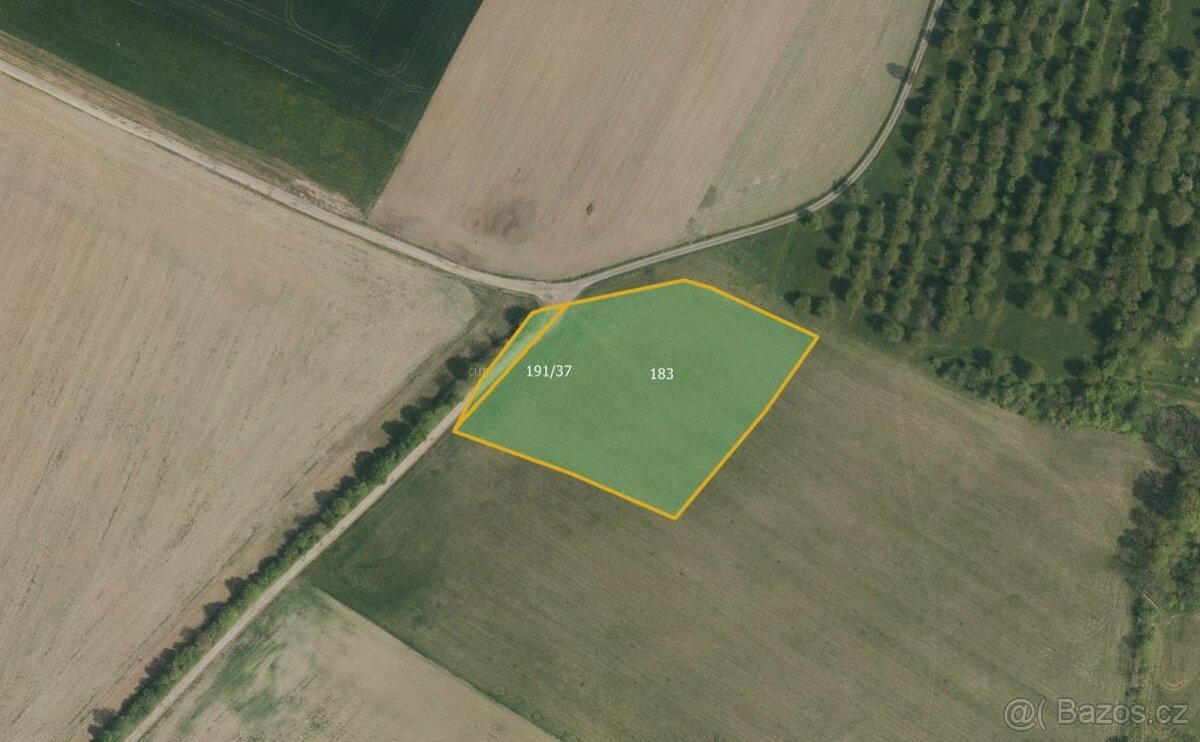 Zemědělská půda, prodej, Radim, Luže, Chrudim - 2