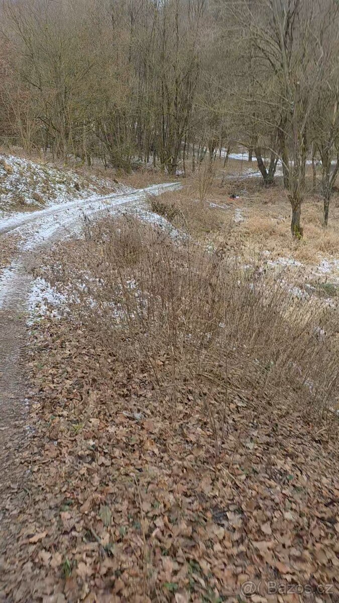 🌿 PRODEJ POZEMKU – DOUBRAVY U ZLÍNA - 2