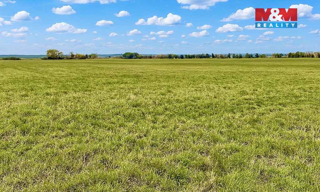 Prodej pole, 9779 m², Dolní Roveň - Komárov - 2