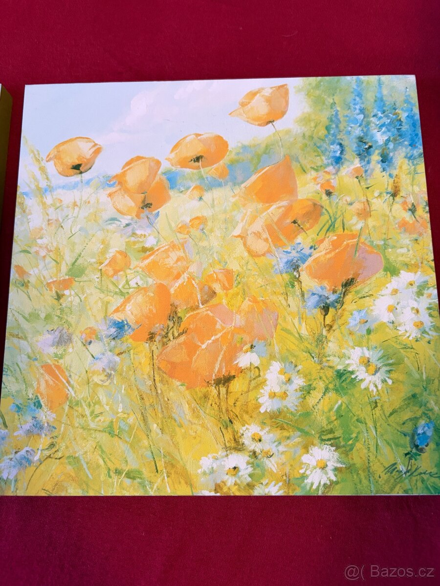 2 male obrazky slunecnice , vlci maky - 2