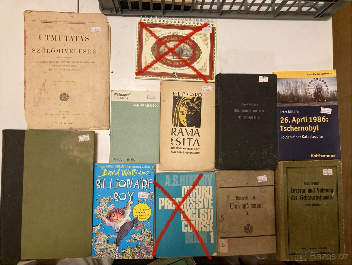 Cizojazyčna literatúra - 2