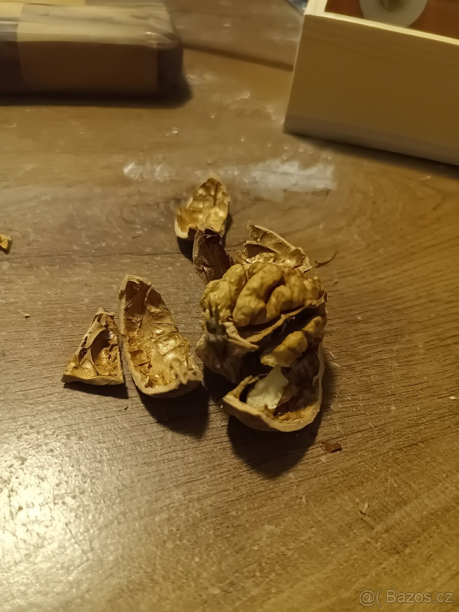 Vlašské ořechy - 2