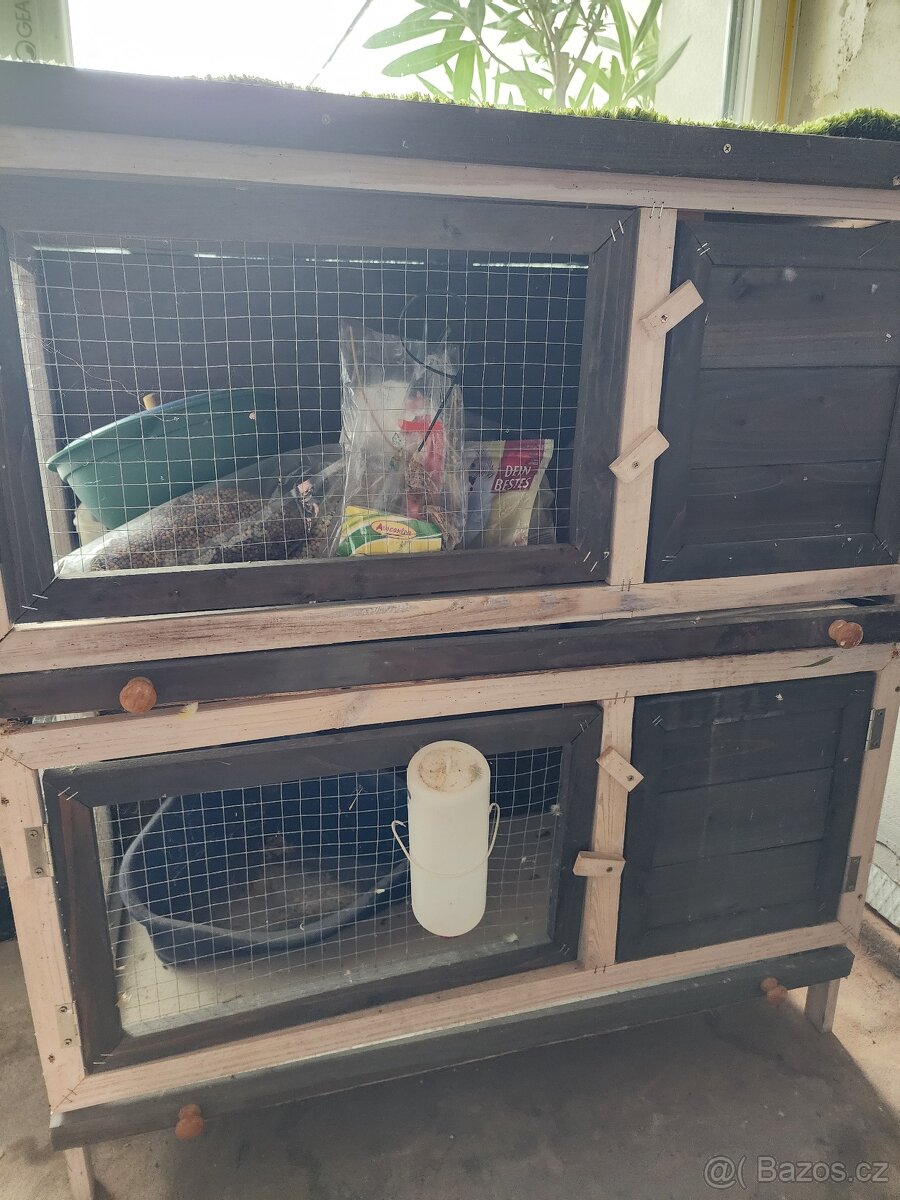 Králíka a partova - 2