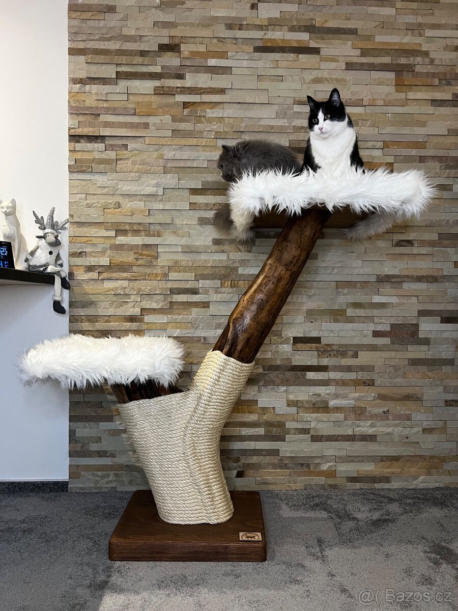 Kočičí stromy - 2