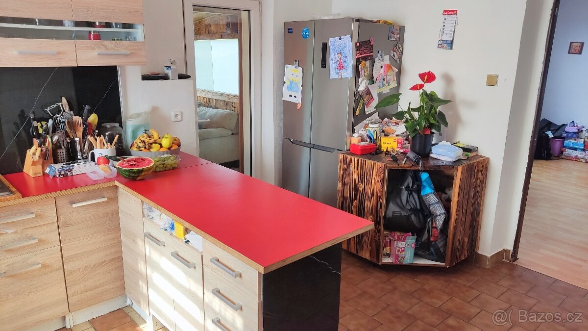 Dům k bydlení i podnikání až 3 byty - 2