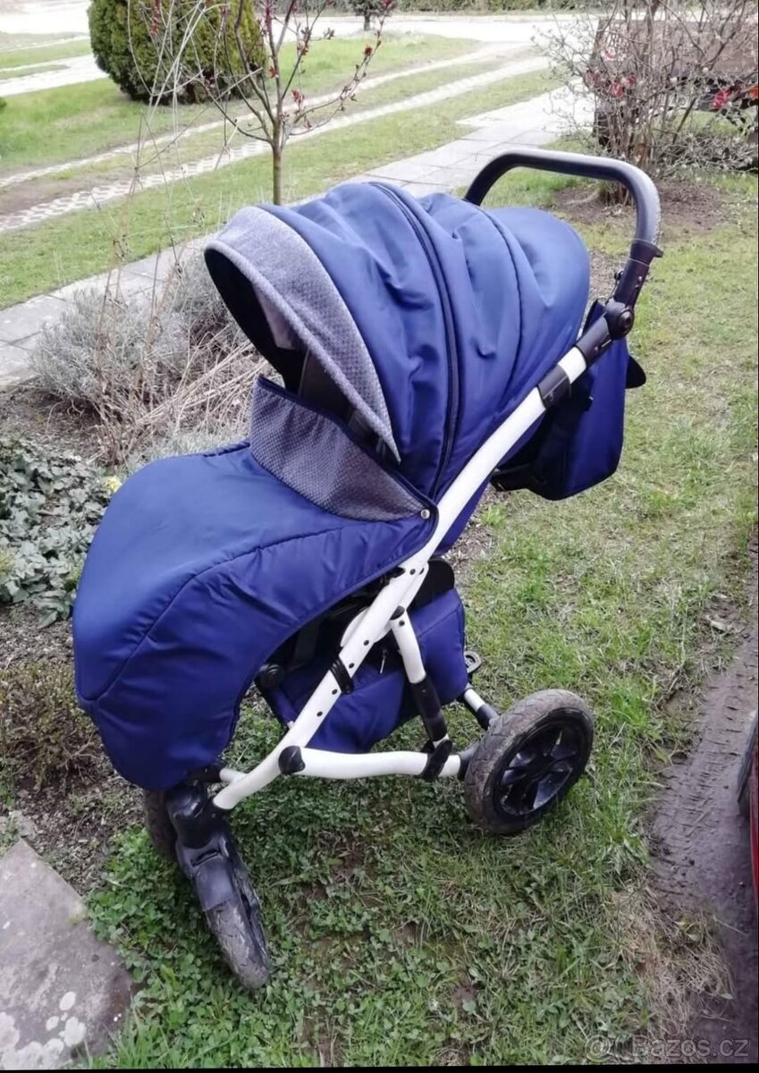 Kočárek - Camarelo sirio - 2